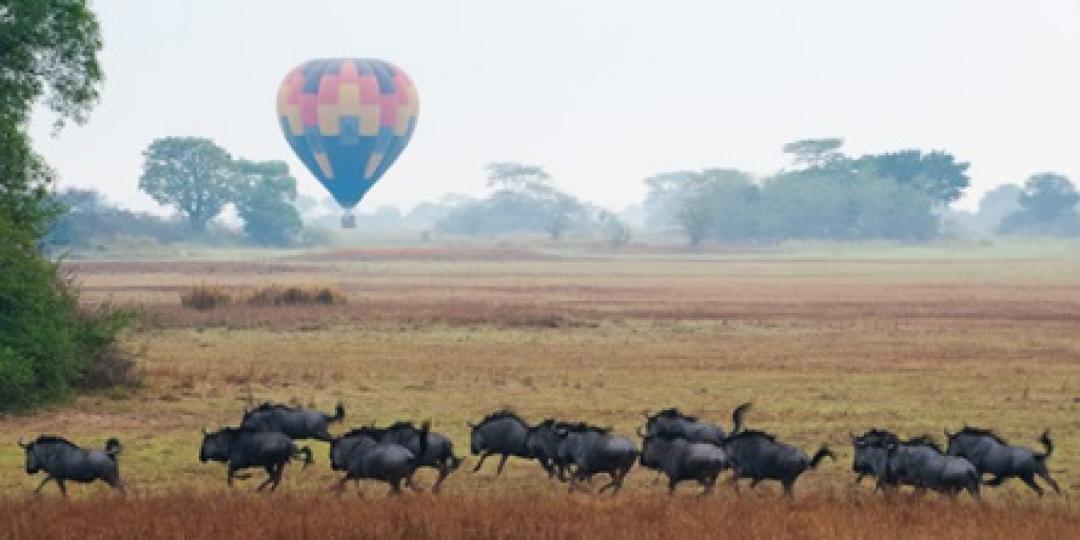 An aerial survey shows an increase in wildlife populations within Kafue National Park.