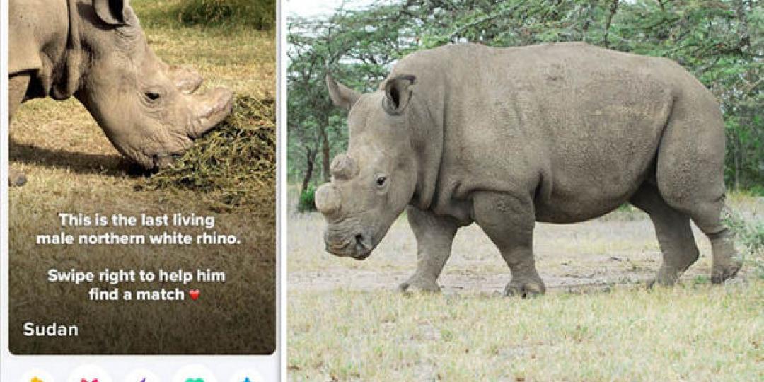 ‘Most eligible bachelor in the world’, Sudan the rhino, will be remembered for his ‘unusually memorable life’.