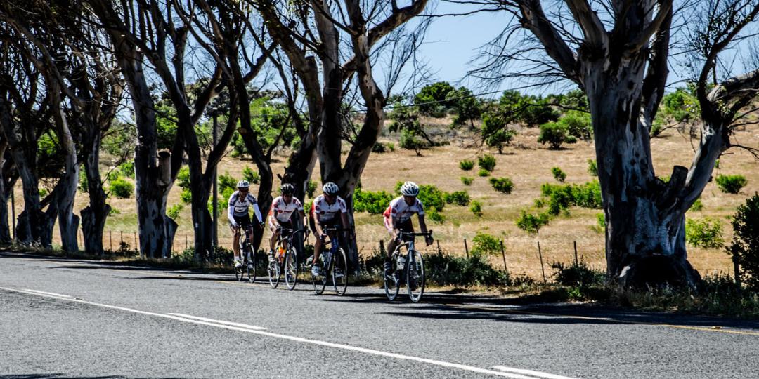 Yzerfontein offers picturesque views for cyclists (image courtesy of West Coast Way)