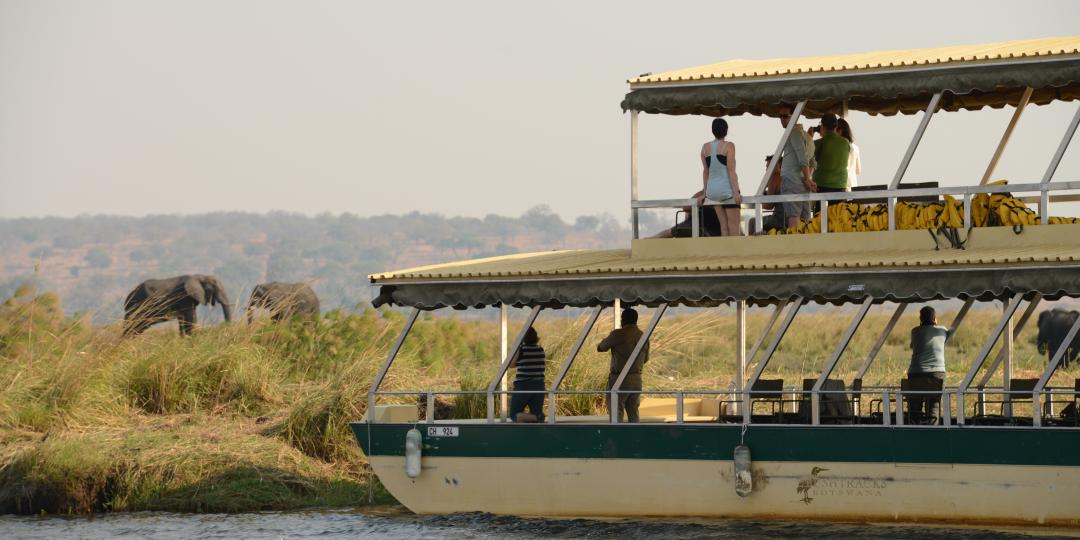 A boat cruise down the Chobe river. 