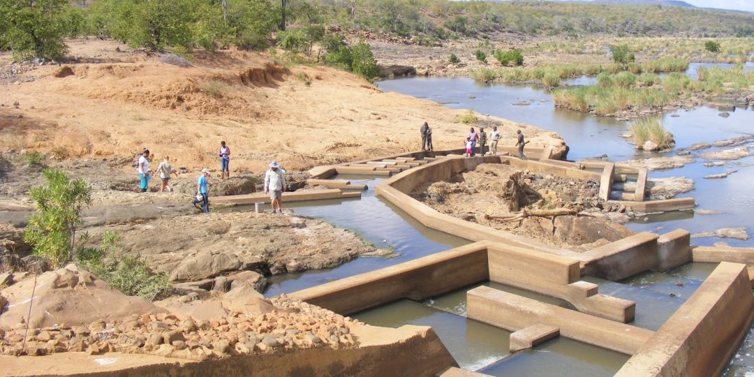 The Kruger National Park will be hosting World Fish Migration Day, highlighting the importance on migratory fish and free flowing rivers. 