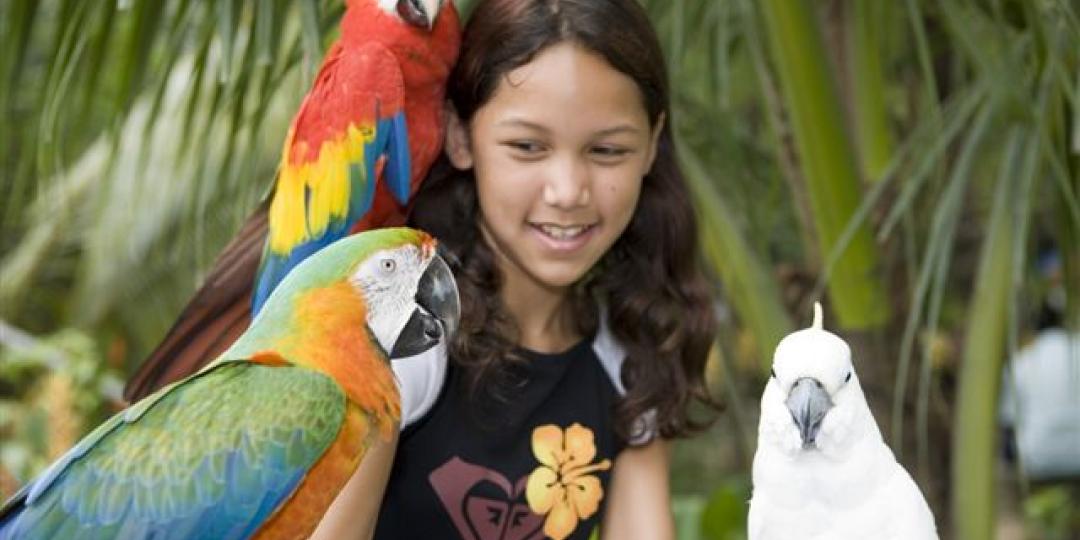 40-year-old bird park could close.