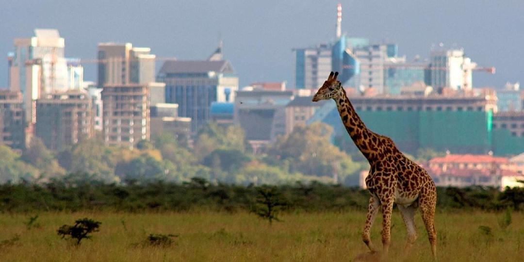 Kenya Bureau of Statistics records an increase in international tourism in 2017.