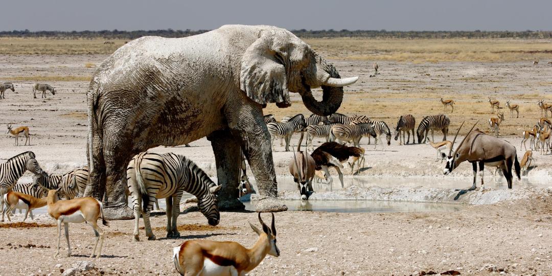 Namibia’s tourism ministry is to focus on wildlife protection.