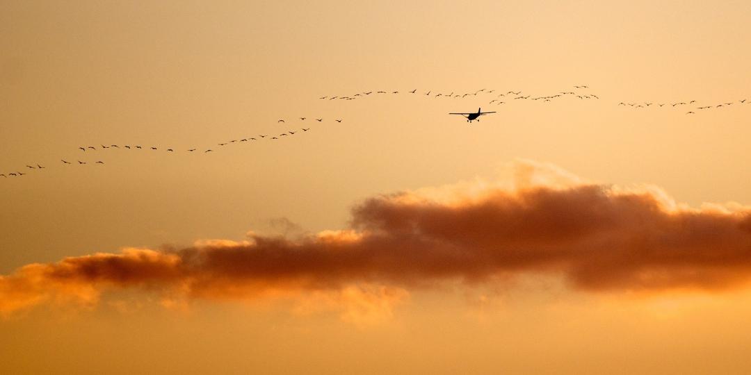 Lake Manyara South Airstrip is set to open on July 1.