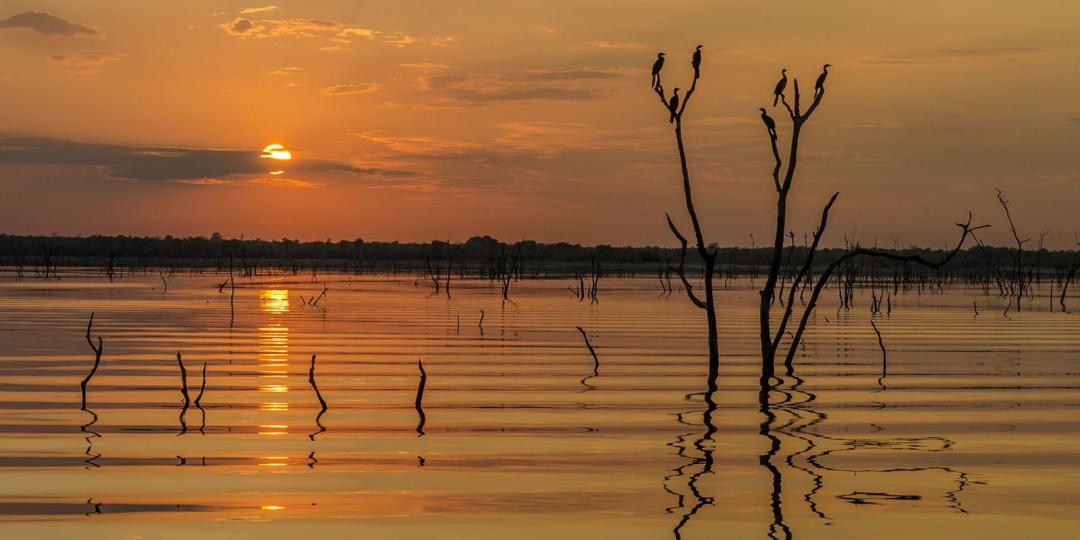 Zambezi Cruise and Safaris will launch its new cruise in 2019.