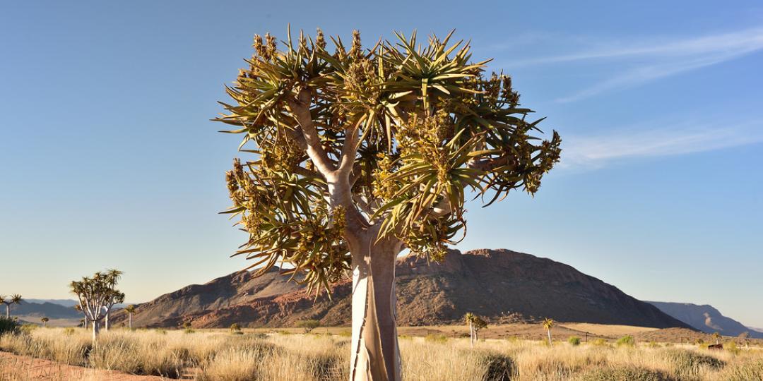 The Ghaap Route will launch later this year in the Northern Cape.