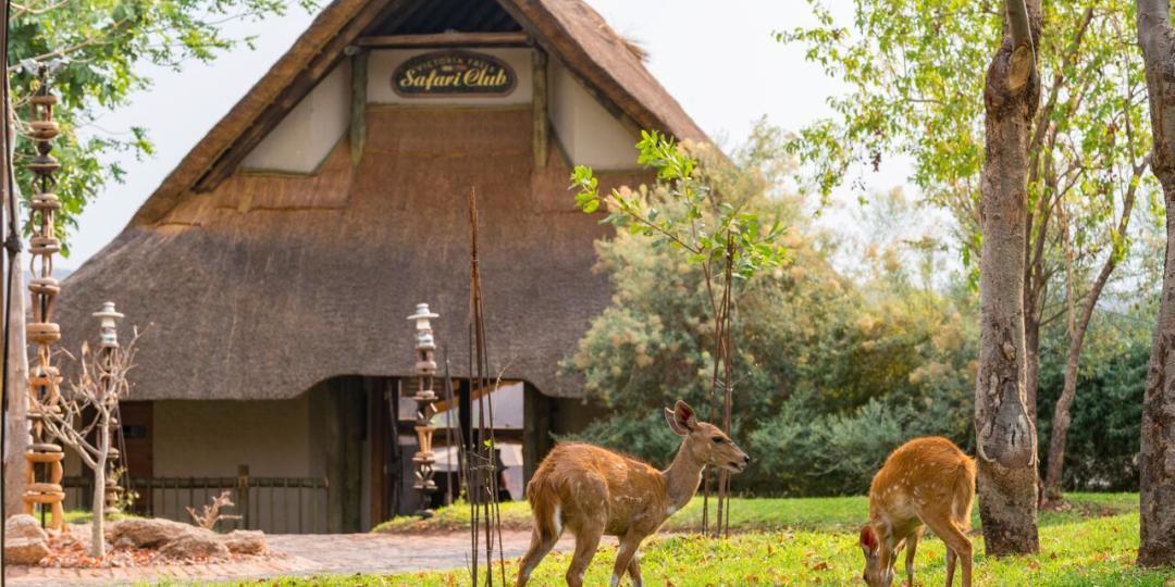 Victoria Falls Safari Club has opened after a refurb.