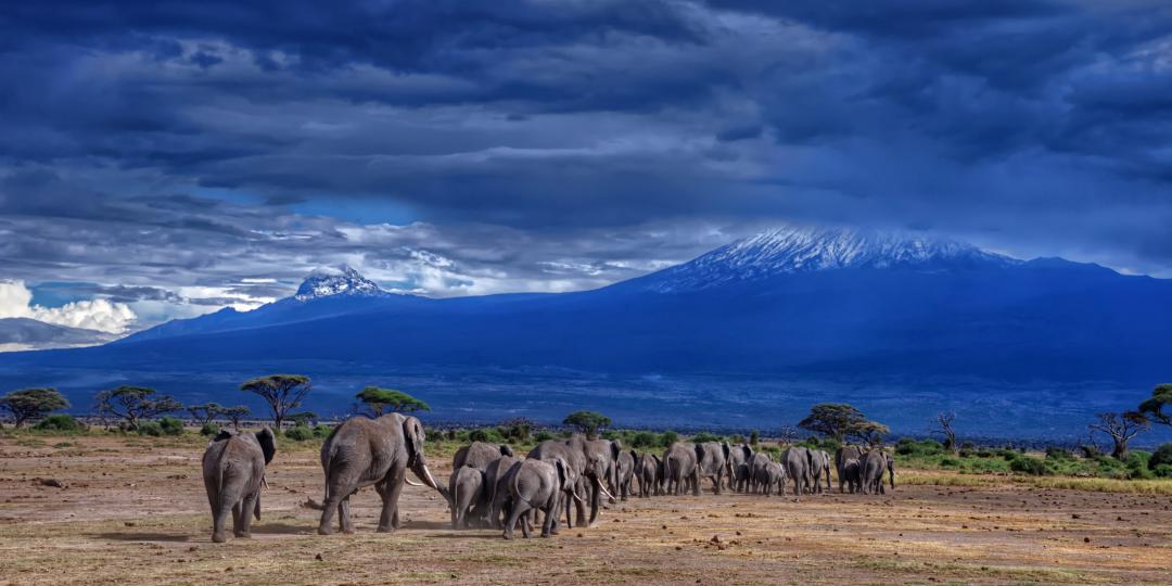 Go on an adventure in East Africa.