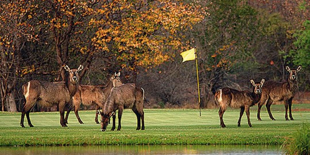 Southern and Eastern Africa is home to a number of beautiful golf destinations.