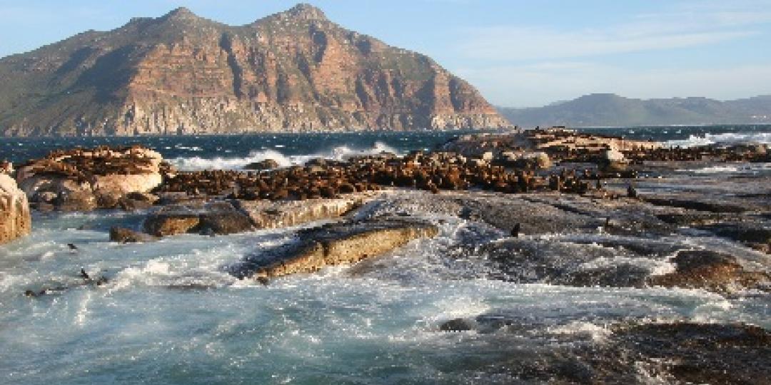 Marine conservation plays an integral part in protecting and growing South Africa’s tourism sector.