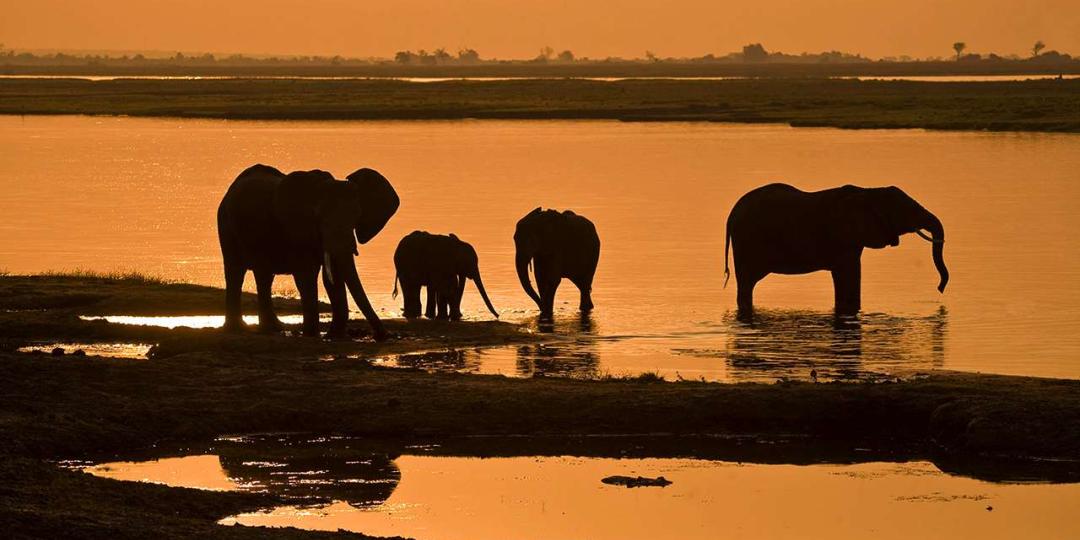 A new hotel is set to be built in Chobe National Park.