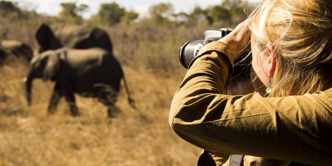 Photographic safaris continue to gain momentum. 