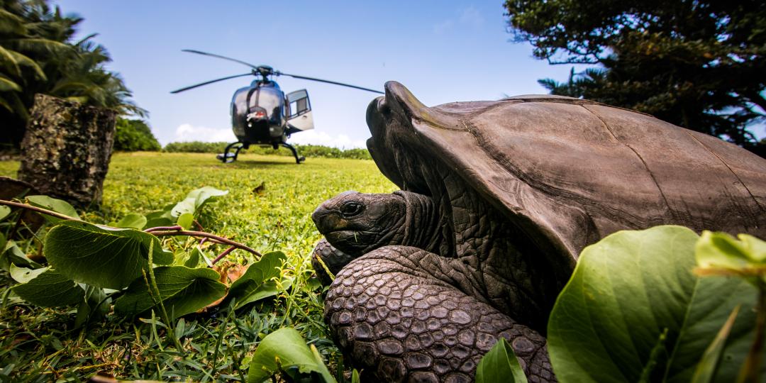 Hilton Seychelles has committed to restoring and protecting the environment.