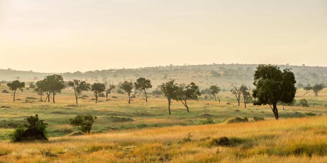 Luxury lodge welcomes guests to the Serengeti.