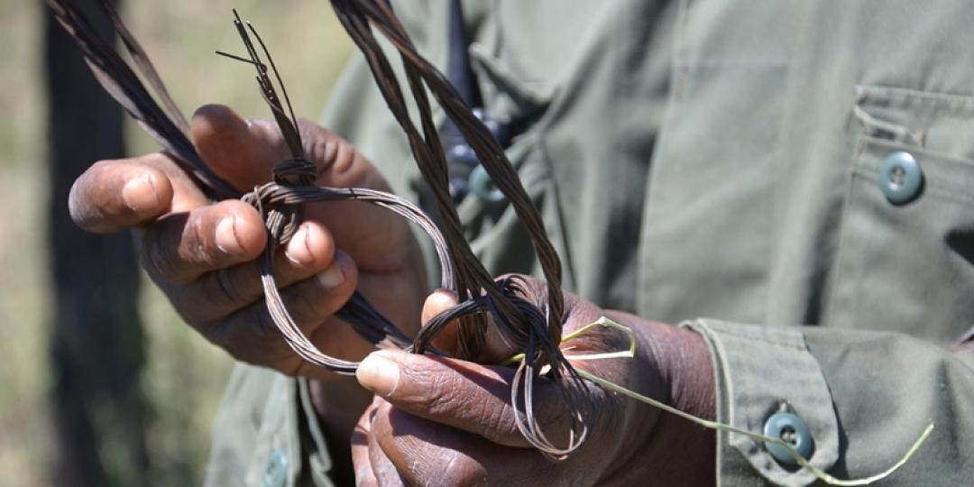 New vehicle and team beef up fight against poaching.