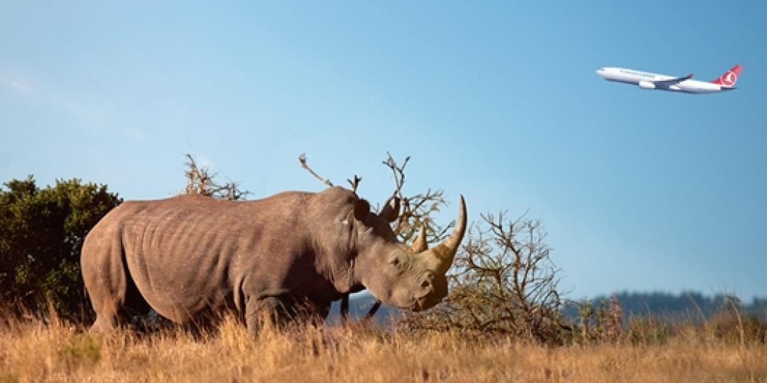 The plight of endangered White rhinos is made reality by their presence in China.