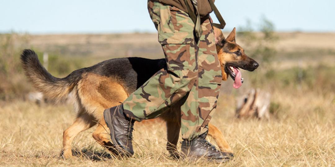 Namibia sets sights on combating wildlife crime with a new dog unit.