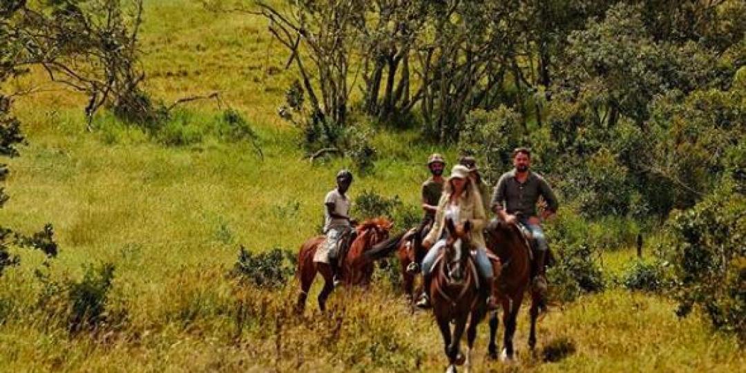 A seven-night riding safari offers guests luxury game viewing from horseback. Credit: Borana Lodge.