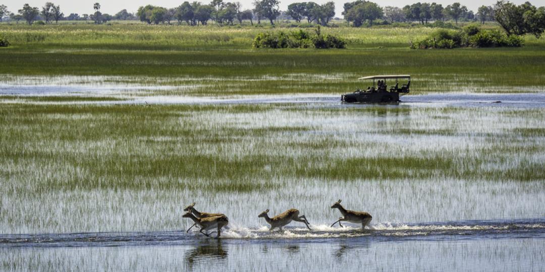 The Okavango Delta offers adventure, wildlife and spectacular views year-round. Credit: Dana Allen, Wilderness Safaris.