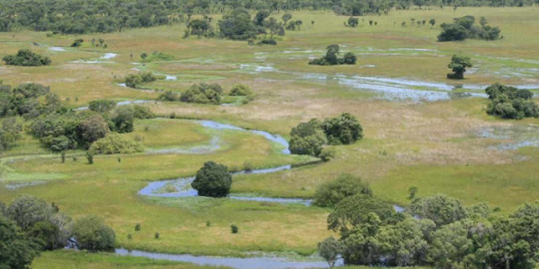 Hundreds of elephants to be moved to Kafue, with an expected boost to tourism.