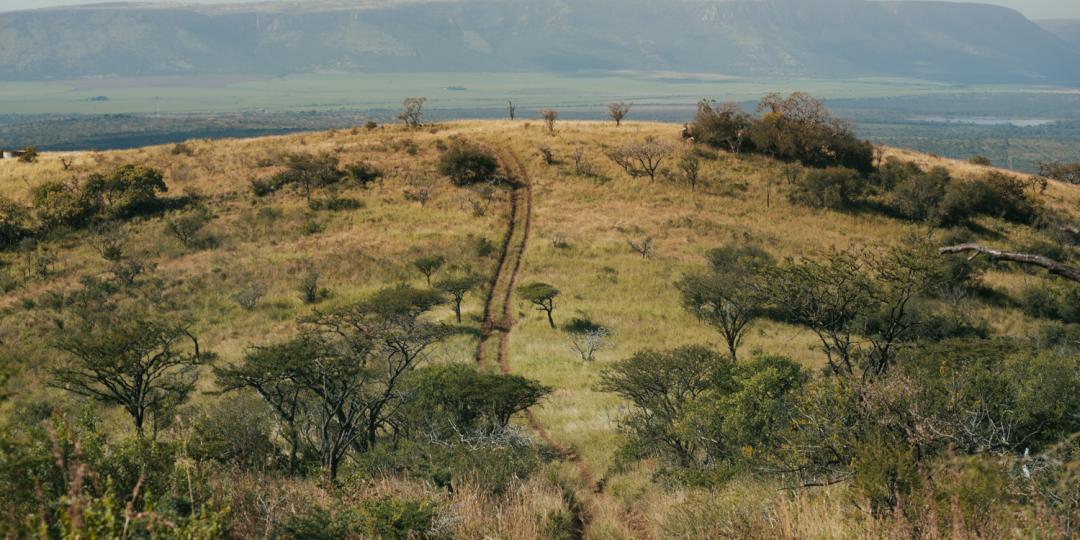 Somkhanda Community Game Reserve in KwaZulu Natal announces its latest community-driven development, the Somkhanda Community Conservation Centre. Credits: Milton Media.