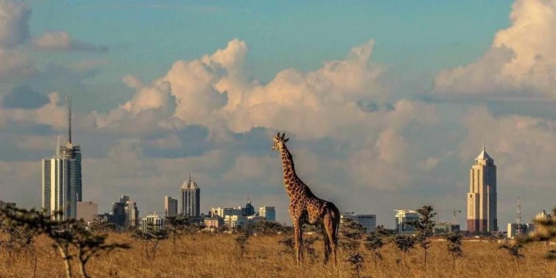 With direct flights from New York to Nairobi, East Africa’s tourism is set for a major boost. Image: Nairobi National Park.