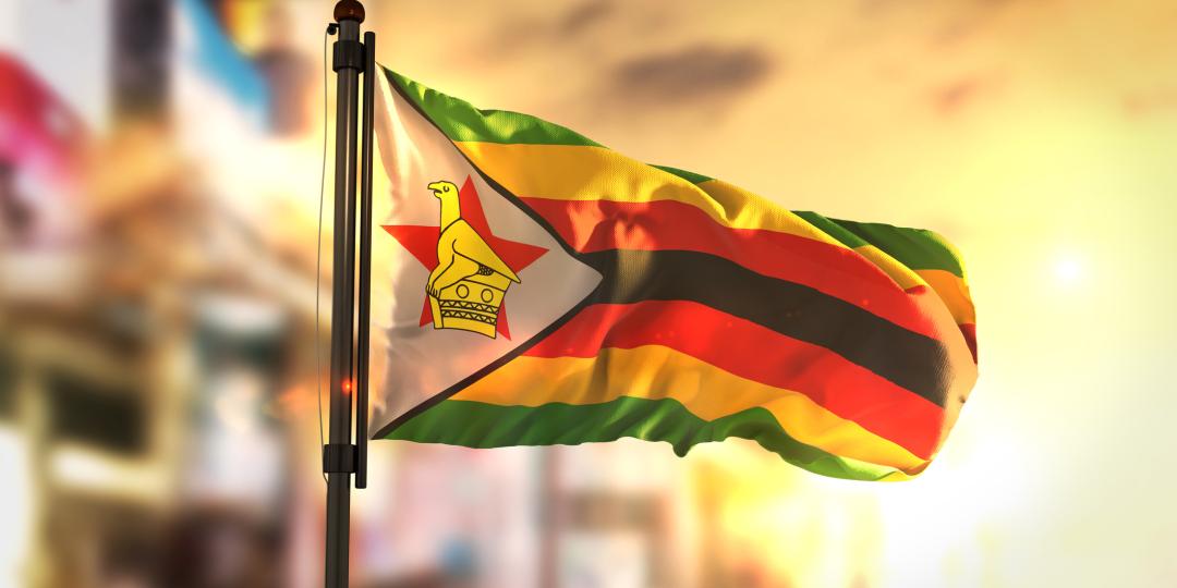 Zimbabwe tourist arrivals show positive growth from key source markets for the first half of 2018.