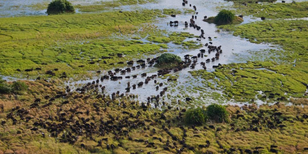 Aerial view of a Botswana landscape.