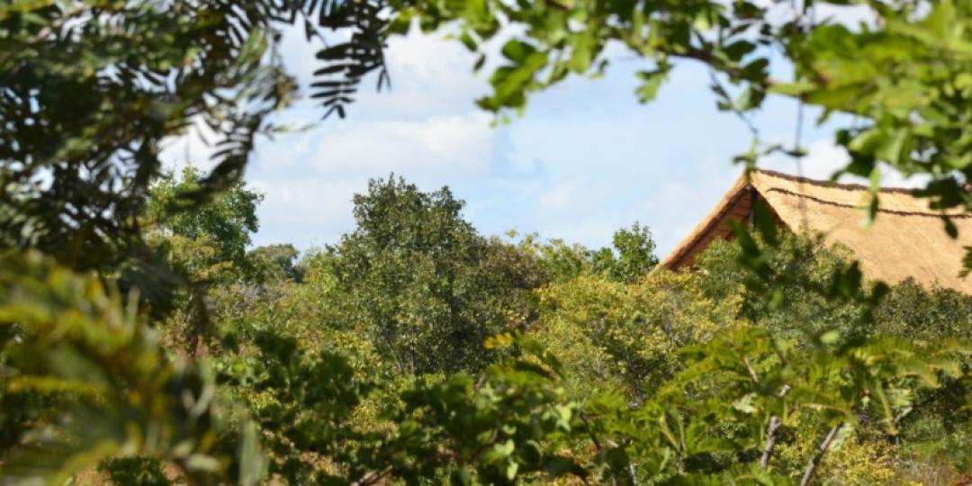 Rafiki Safari Camp in Malawi opened at the end of 2018, sporting luxury safari units and camping facilities. Credits: Rafiki Safari Camp.