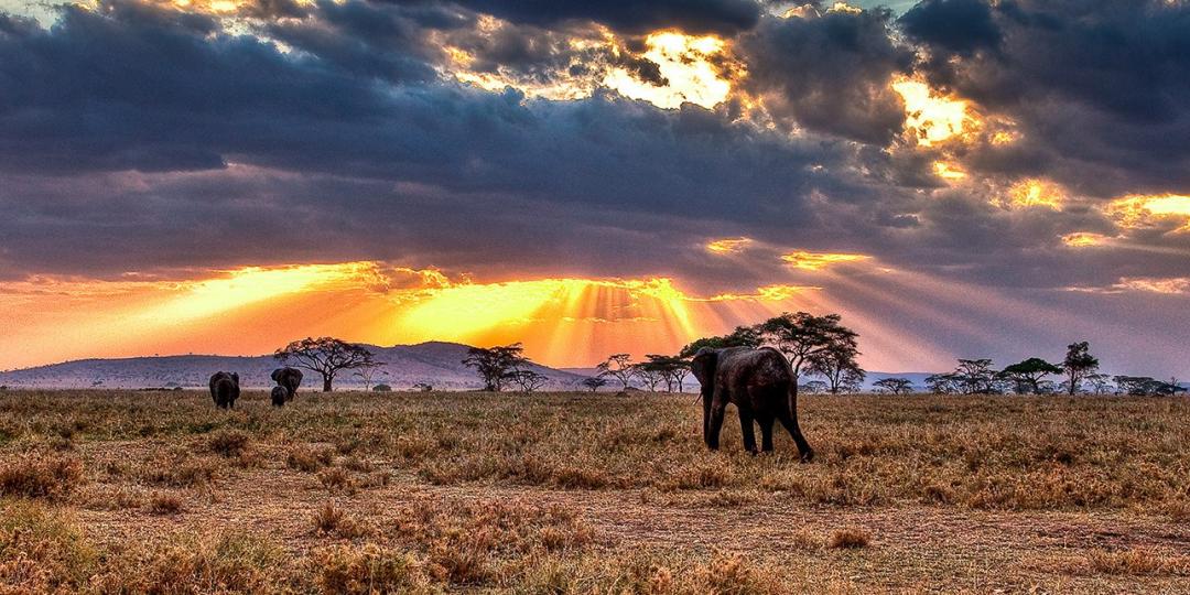 Two new lodges to open in Tanzania. Credit: Experience Africa.