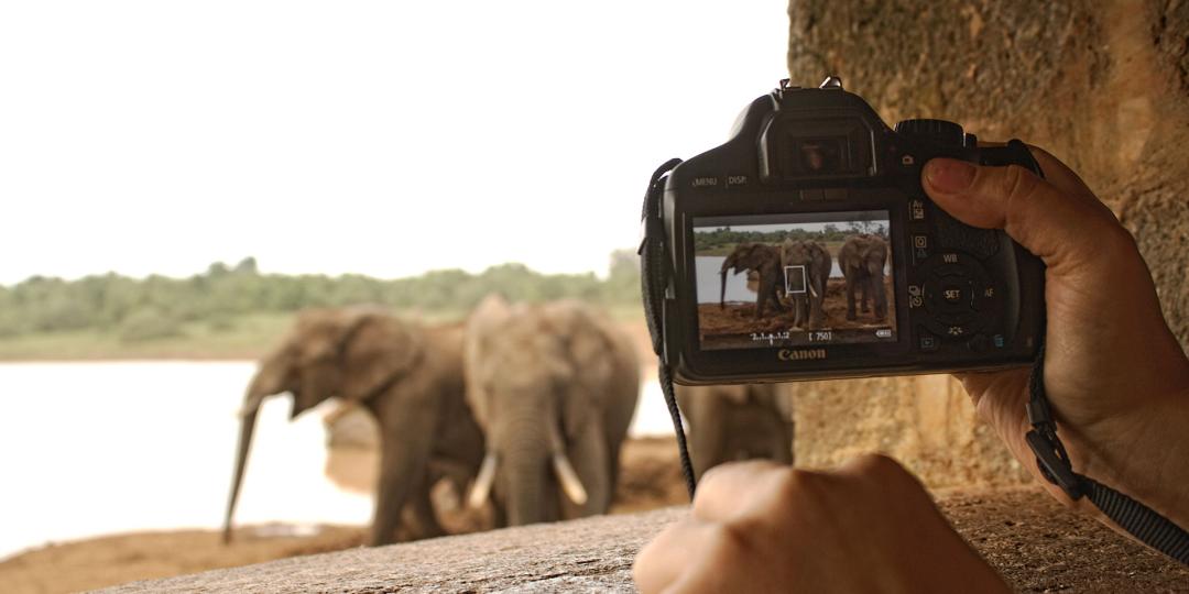 Kenya Tourism Board partners with travel agents. Image credit: mwFilm.