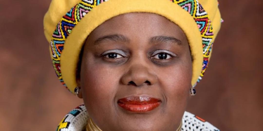 Mmamoloko ‘Nkhensani’ Kubayi-Ngubane - SA's new Minister of Tourism.