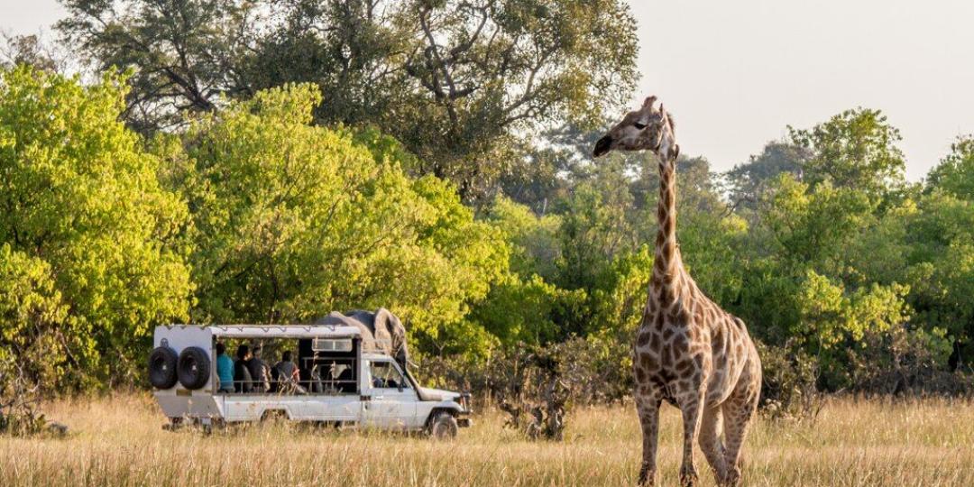 Wilderness Dawning Launches New Lodge-to-lodge Safari | Southern & East ...