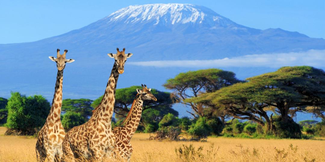 Despite Kenya’s decline in overall ranking in the TTCI report, the country’s hotel market benefited from an increasing number of foreign tourists as travel advisories were lifted and the country enjoyed a sustained period of peace and security.