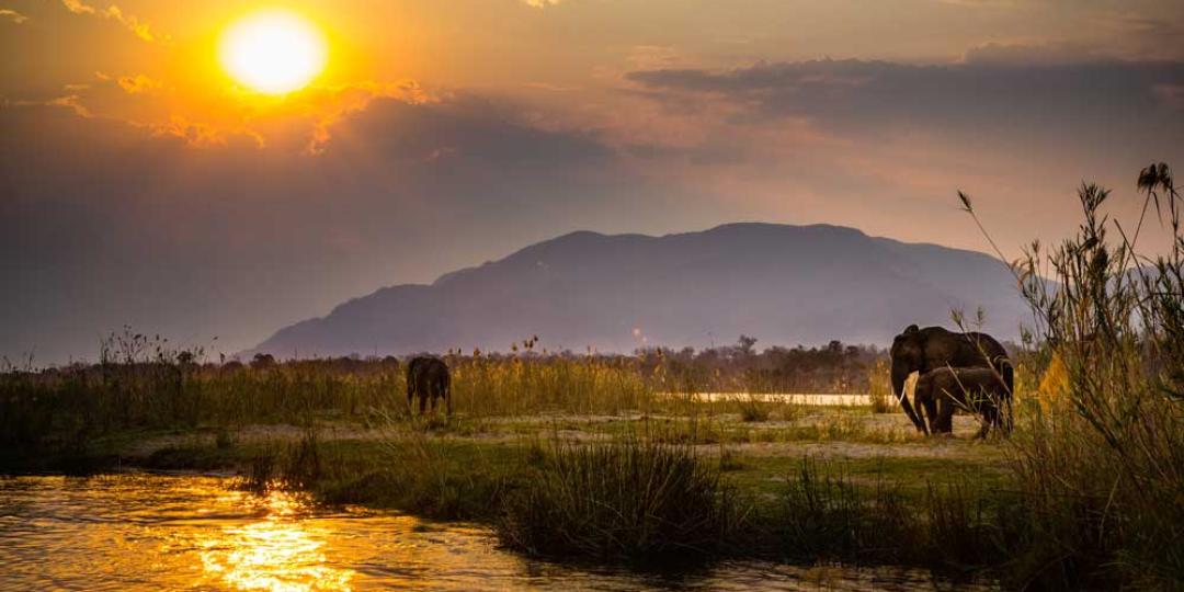 Elephants in Lower Zambezi National Park.