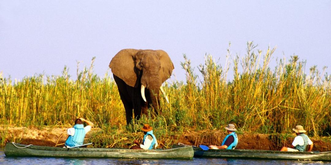 Tourists canoeing in the Lower Zambezi National Park.