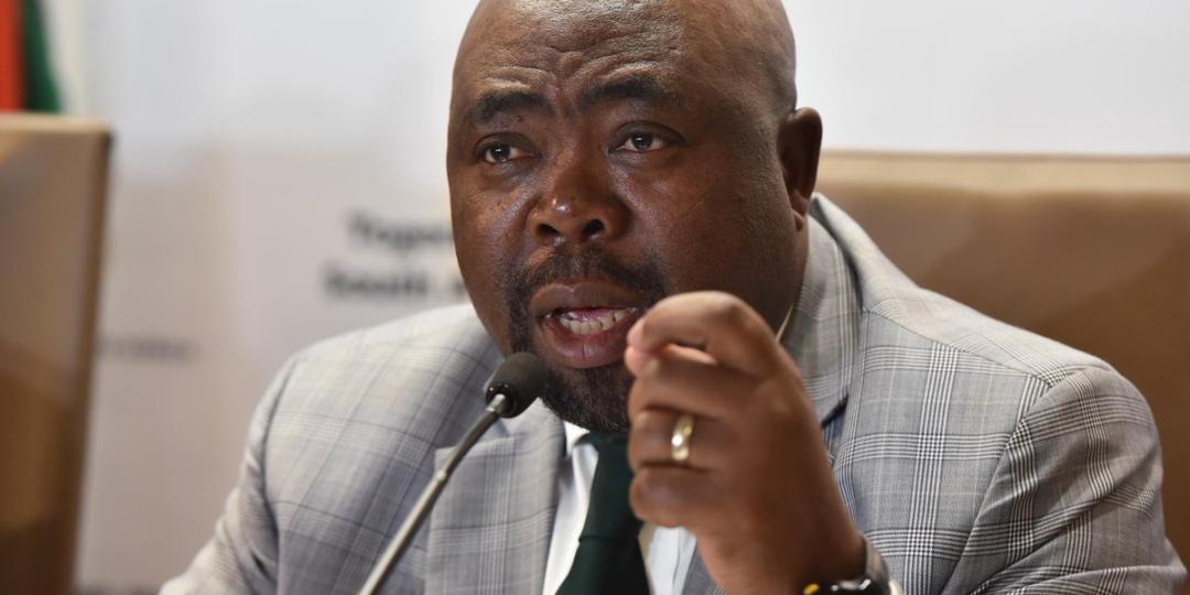 Minister of Employment and Labour, Thulas Nxesi.