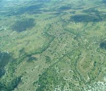 Overcrowding is threatening parts of the Okavango Delta, and mobile tourism licences for the Okavango could be frozen.