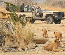 Zambia’s President, Edgar Lungu, last week officially opened the Lusaka National Park to the public.