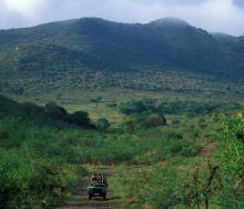 Industry players have rejected the suggestion that alternative wilderness areas be sought to offset the destruction of wilderness that could be caused by the proposed Fuleni coal mine on the border of the Hluhluwe-iMfolozi Park.