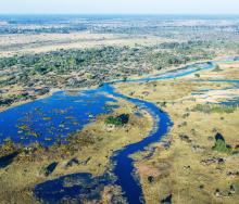 Guests on the Thompsons Africa ‘Africa’s Wildest Dreams’ package will visit the Okavango Delta in Botswana.