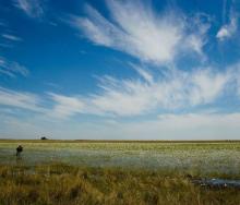 Construction on the new camp will begin next month. Photo by Norman Carr Safaris. 