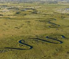 Some water activities in the Okavango Delta have been affected by low water levels, including boating and mokoro activities, but these are expected to resume in a couple months as water levels continue to rise.