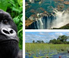 Tourism Update will increase its coverage of East Africa, Zimbabwe, Zambia, Namibia, Botswana and Mozambique.