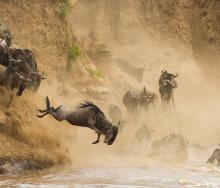 Planned repairs to the Narok-Sekenani road are expected to improve travel to the Maasai Mara National Reserve in Kenya.