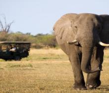 Lamu County Government is holding talks with the Kenya Wildlife Service in a bid to introduce game drives in Dodori National Reserve.