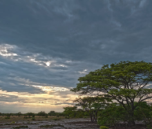 Proflight will begin a twice-weekly schedule between Lusaka and Kalabo, the nearest town to Liuwa Plain National Park.