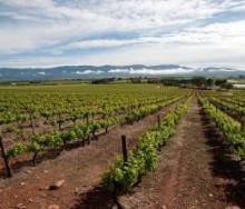 A recent documentary alleging slavery-like labour practises on Robertson wine farms has resulted in backlash.