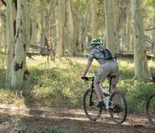  Escape Cycle Tours will be offering a new cycling safari, starting this October.